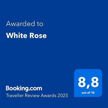 Daire White Rose