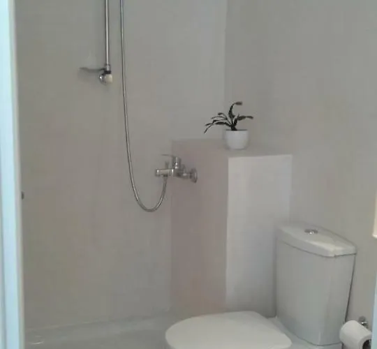 White Rose 干尼亞