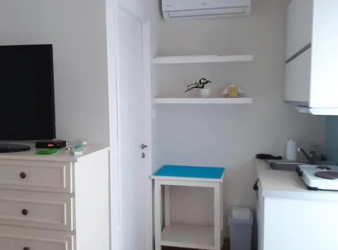 Apartment White Rose *